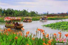 <b>广东湿地旅游持续升温适合亲水、观鸟、赏花</b>