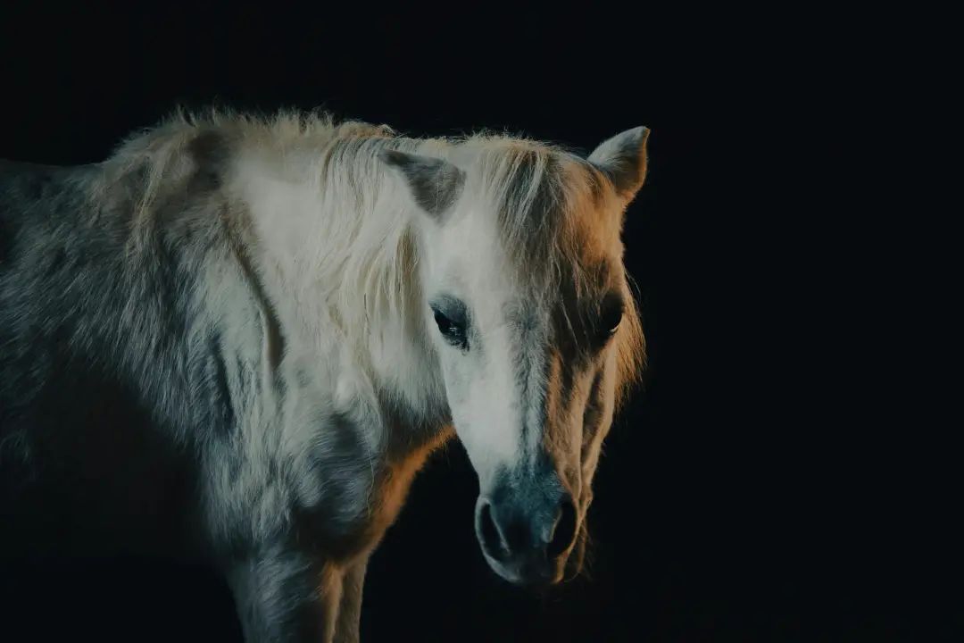 三分构图这么用，照片合理且好看