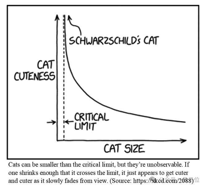 “猫猫运动方程”首次被科学家破解，登上《美国物理学杂志》