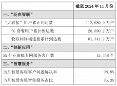 中国联通 2024 年 11 月 5G