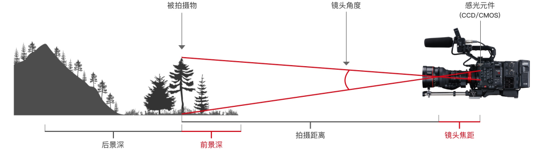 没了一英寸，影像旗舰尚能饭否？